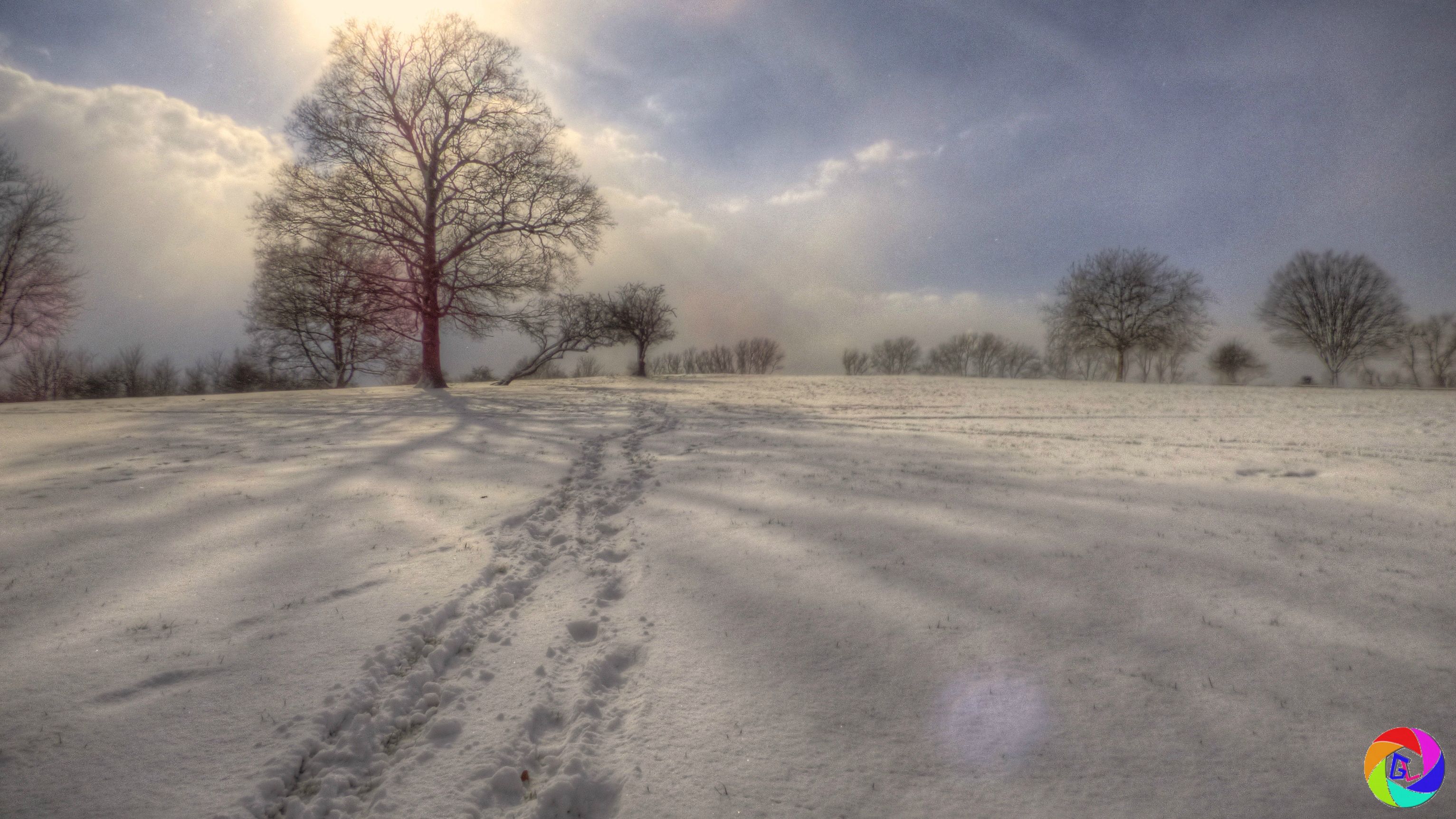 Winter Snow